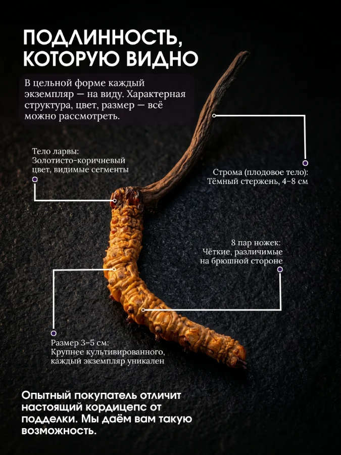 Карточка серии: подлинность, которую видно