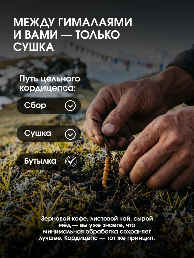 Карточка: путь продукта — сбор, сушка, бутылка