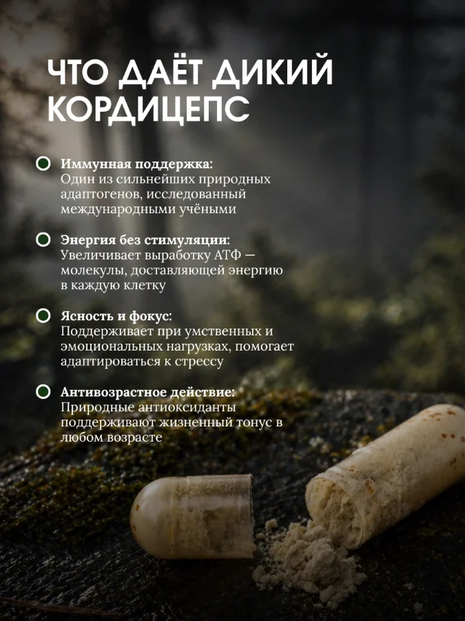 Карточка серии: что даёт дикий кордицепс