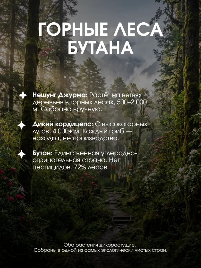 Карточка чая: горные леса Бутана